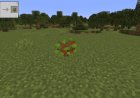 Apple Trees Revived