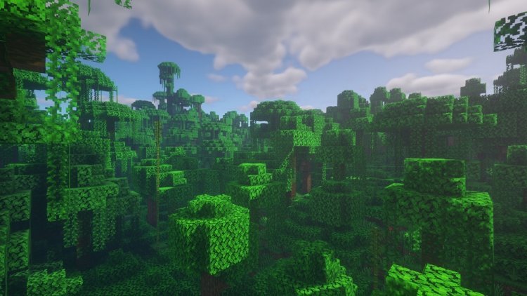 BSL Shaders